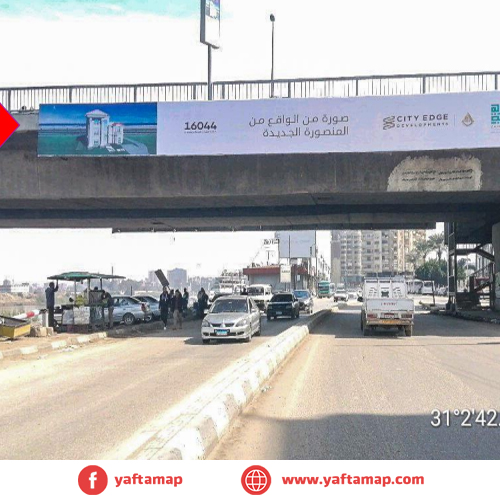 MIRROR - MANSORA - DEKAHLIA