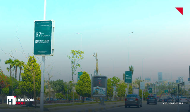 علم - الشيخ زايد