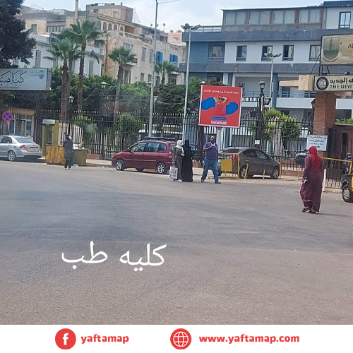 T-POLE - ALEXANDRIA - MEDICAL COLLEGE