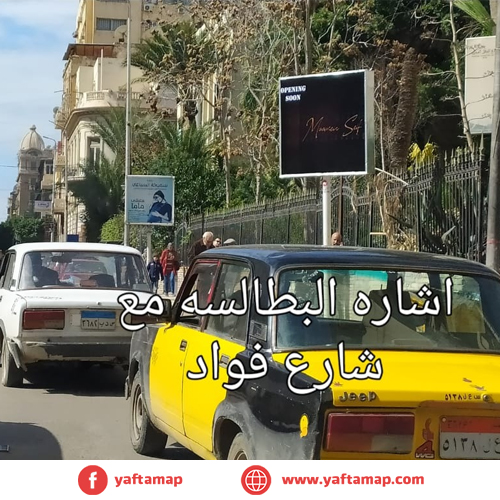 T-POLE - ALEXANDRIA - EL BATALSA - MUHAMMED FOUAD