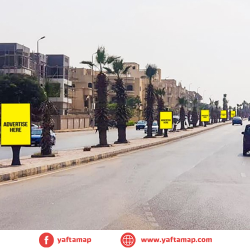 SUCCETTE - N TESEEN - NEW CAIRO